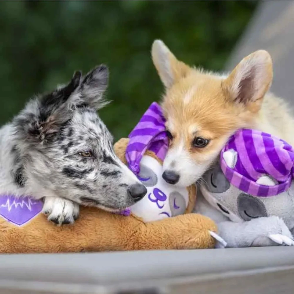 Peluche apaisante pour chien avec battement de cœur
