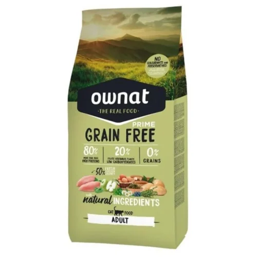 Alimentation chat adulte saine et naturelle