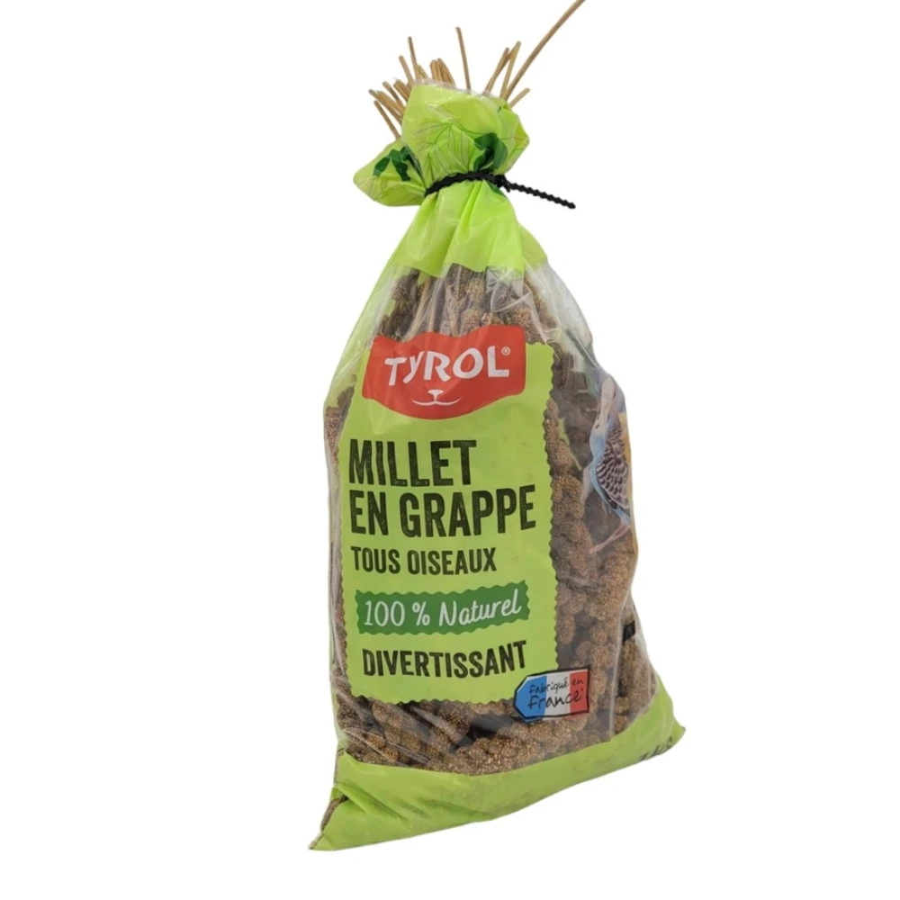 Grappes de millet 1 kg pour oiseaux