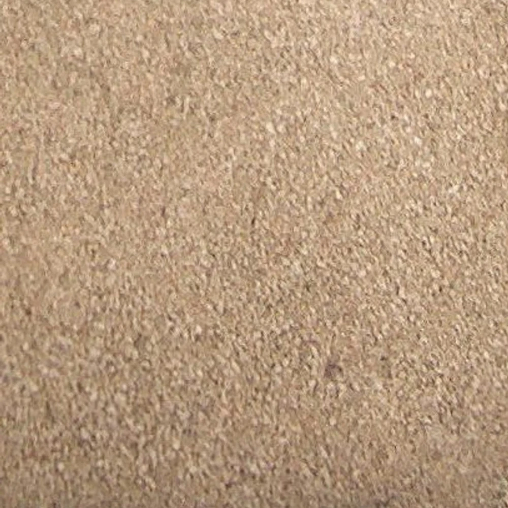 Sable pour chinchillas et gerbille