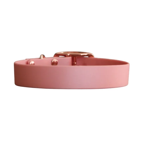 Collier personnalisé pour chien Nox 25 mm