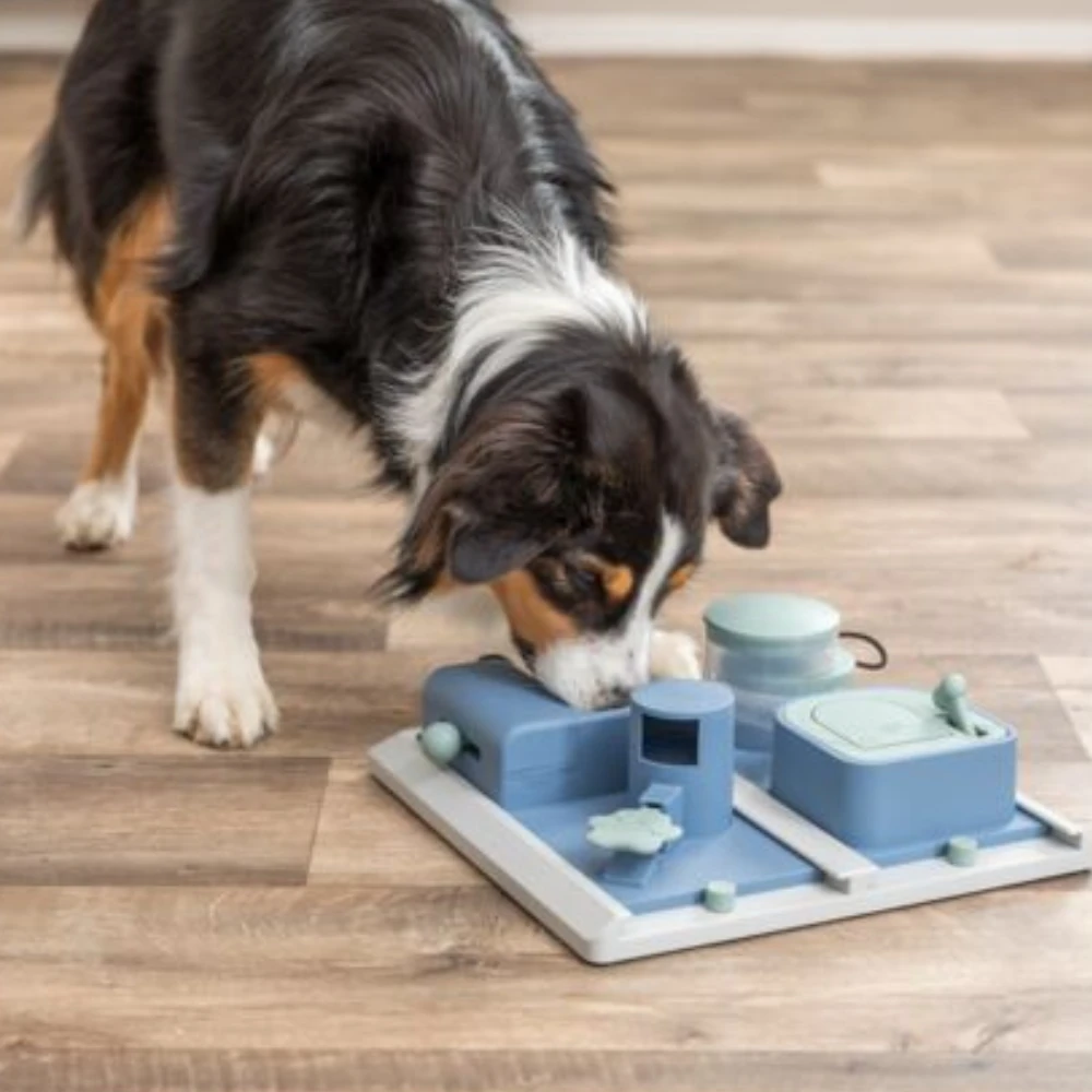 Jeu d’intelligence chien Poker Box 2 – Jouet interactif éducatif niveau 3