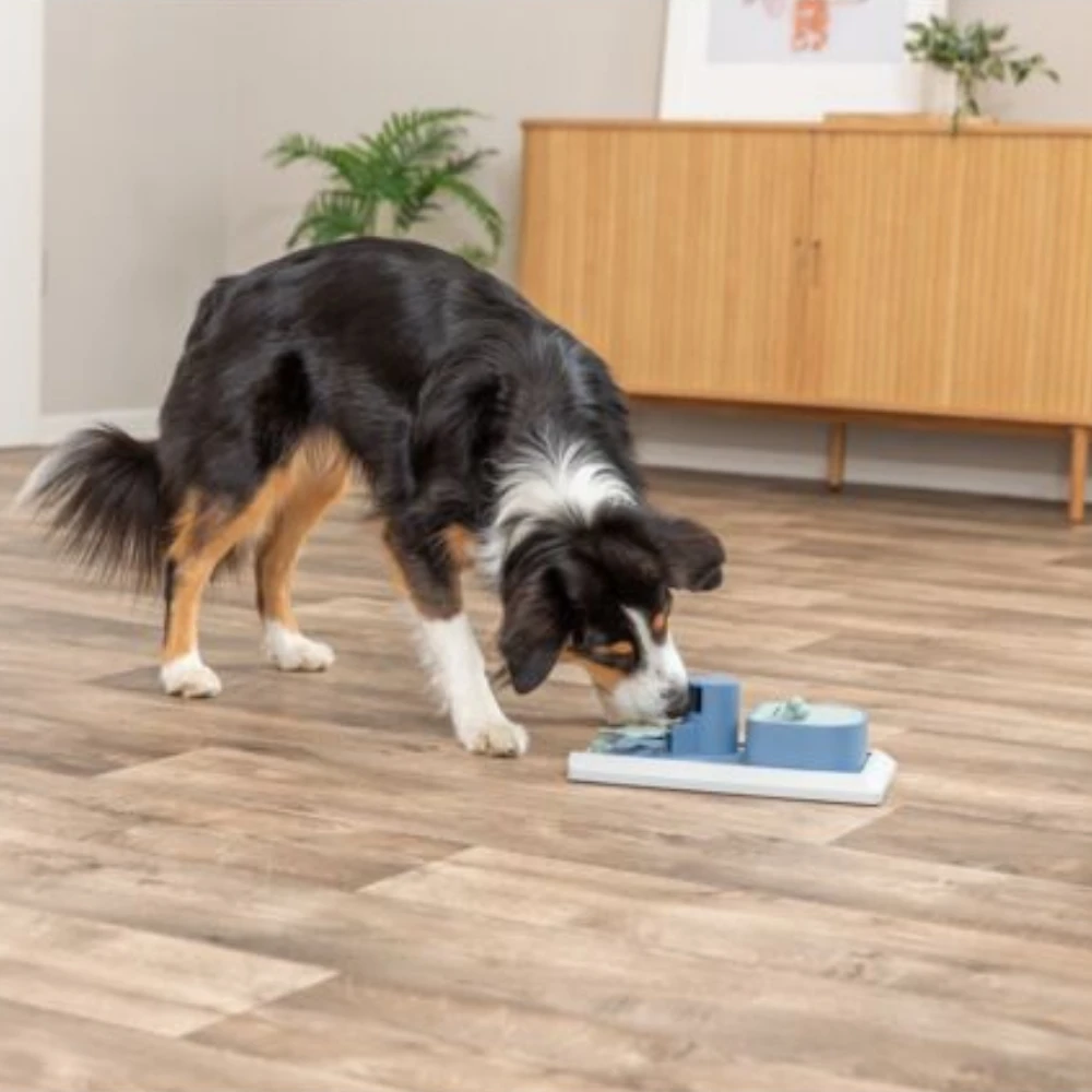 Jeu d’intelligence chien Poker Box Vario 1 – Jouet interactif 32x17 cm