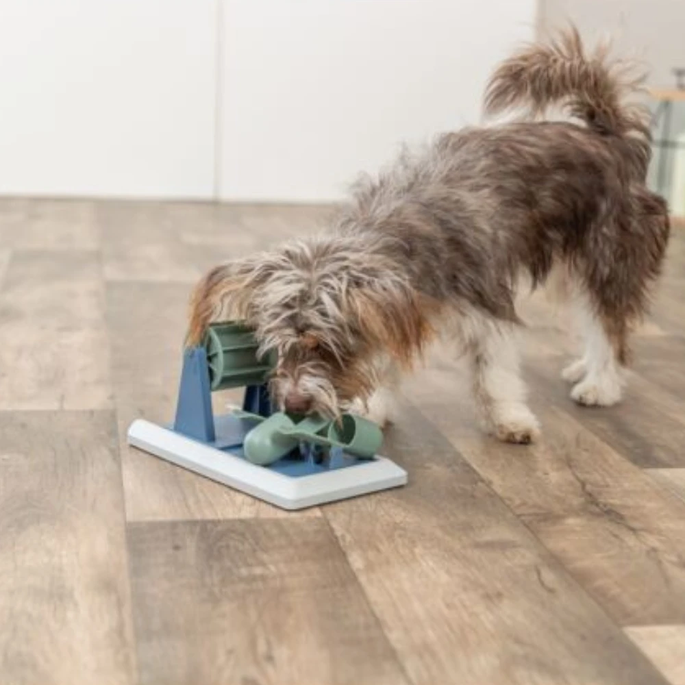 Jeu d’intelligence chien Poker Box Vario 2 – Jouet éducatif interactif 32x17 cm