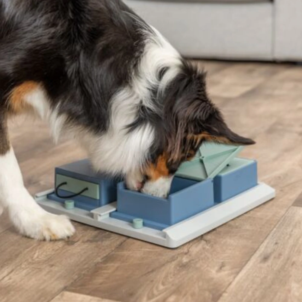 Jeu d’intelligence chien Poker Box 1 – Jouet interactif éducatif